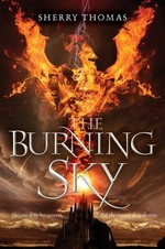 Book cover of BURNING SKY