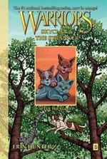 Book cover of WARRIORS SKYCLAN & STRANGER 03 AFTER THE