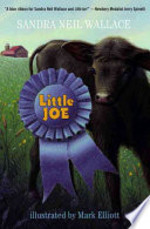 Book cover of LITTLE JOE