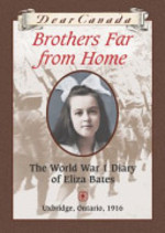 Book cover of DC - BROTHERS FAR FROM HOME