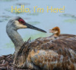 Book cover of HELLO I'M HERE