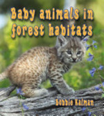 Book cover of BABY ANIMALS IN FOREST HABITATS