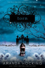 Book cover of TORN