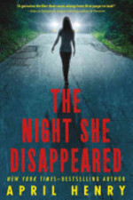 Book cover of NIGHT SHE DISAPPEARED