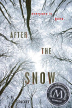 Book cover of AFTER THE SNOW