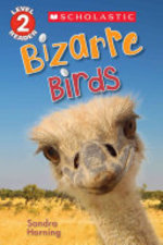 Book cover of BIZARRE BIRDS