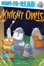 Book cover of KNIGHT OWLS
