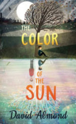 Book cover of COLOR OF THE SUN