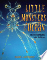 Book cover of LITTLE MONSTERS OF THE OCEAN - METAMORPH