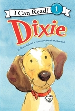 Book cover of DIXIE