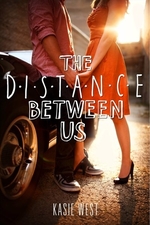 Book cover of DISTANCE BETWEEN US