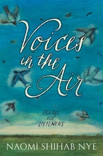 Book cover of VOICES IN THE AIR
