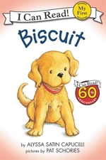 Book cover of BISCUIT