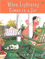 Book cover of WHEN LIGHTNING COMES IN A JAR