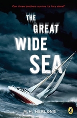 Book cover of GREAT WIDE SEA