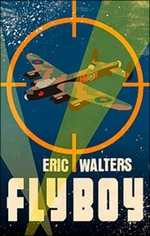 Book cover of FLY BOY