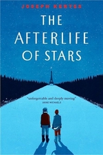 Book cover of AFTERLIFE OF STARS