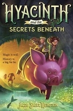 Book cover of HYACINTH & THE SECRETS BENEATH