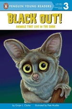 Book cover of BLACK OUT - ANIMALS THAT LIVE IN THE DAR