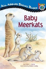Book cover of BABY MEERKATS