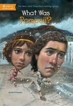 Book cover of WHAT WAS POMPEII