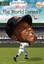 Book cover of WHAT IS THE WORLD SERIES