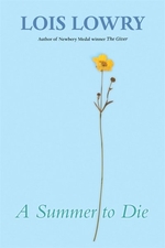 Book cover of SUMMER TO DIE