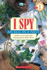 Book cover of I SPY AN EGG IN A NEST