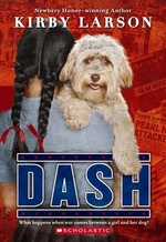 Book cover of DASH