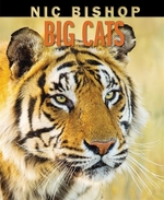 Book cover of NIC BISHOP BIG CATS