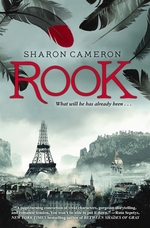 Book cover of ROOK
