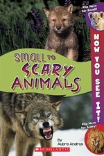 Book cover of NOW YOU SEE IT SCARY SMALL