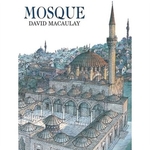 Book cover of MOSQUE