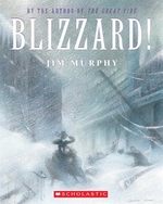 Book cover of BLIZZARD