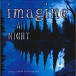 Book cover of IMAGINE A NIGHT