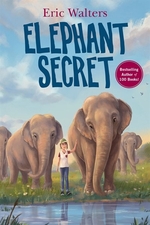 Book cover of ELEPHANT SECRET