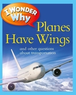 Book cover of I WONDER WHY PLANES HAVE WINGS