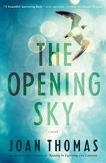 Book cover of OPENING SKY