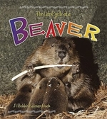 Book cover of LIFE CYCLE OF A BEAVER