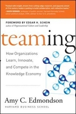 Book cover of TEAMING HOW ORGANIZATIONS LEARN INNOVATE