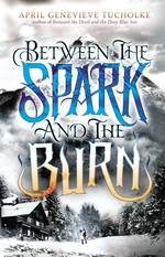 Book cover of BETWEEN THE SPARK & THE BURN