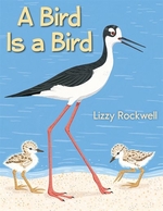 Book cover of BIRD IS A BIRD