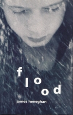 Book cover of FLOOD