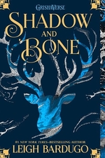 Book cover of SHADOW & BONE 01