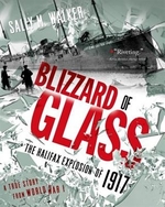 Book cover of BLIZZARD OF GLASS