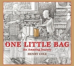 Book cover of 1 LITTLE BAG: AN AMAZING JOURNEY        