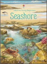 Book cover of SEASHORE