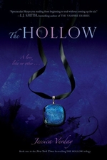 Book cover of HOLLOW
