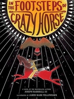 Book cover of IN THE FOOTSTEPS OF CRAZY HORSE