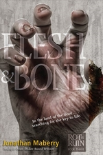 Book cover of FLESH & BONE
